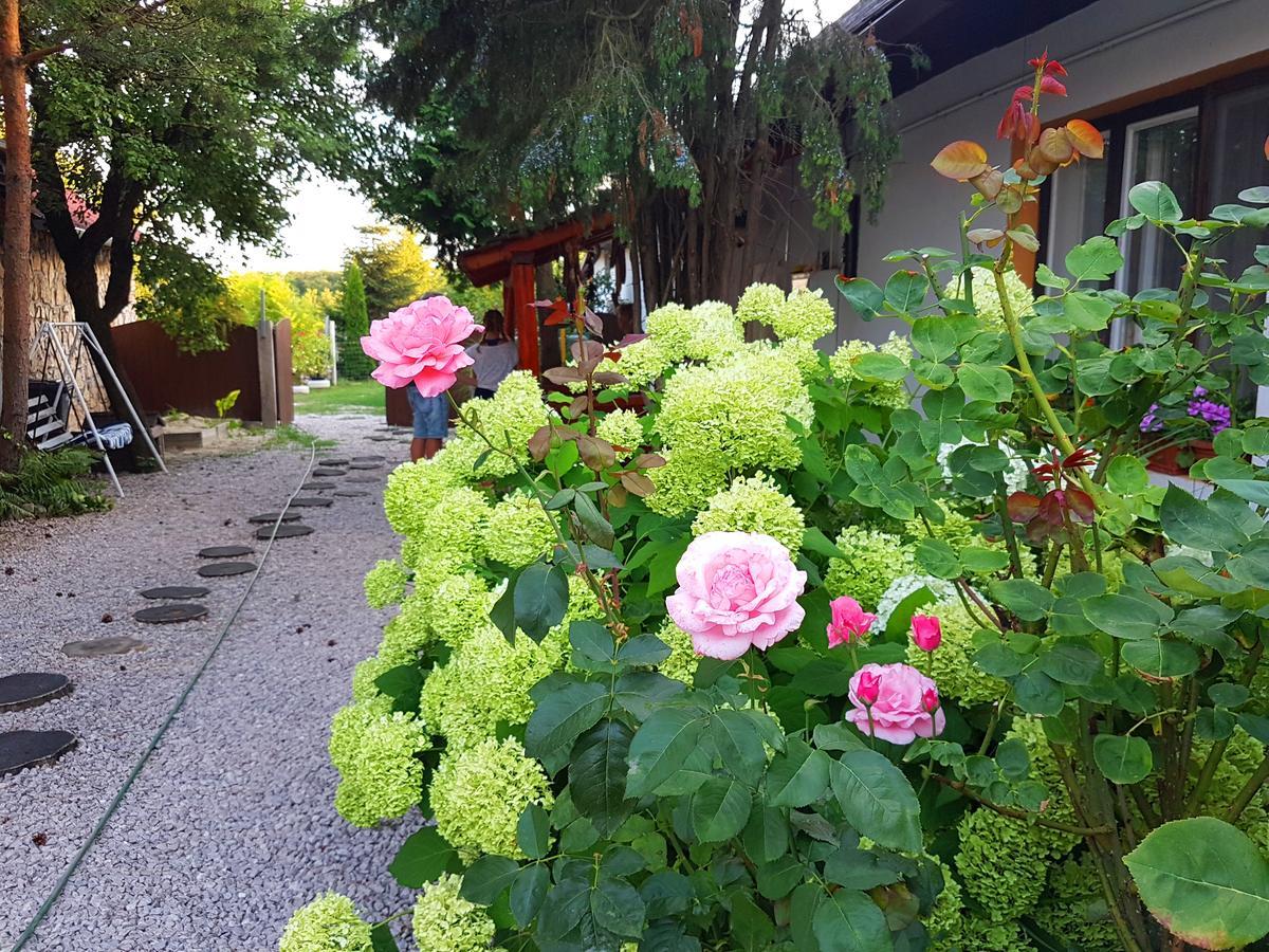 Kuti Vendeghaz Otel Bakonykuti Dış mekan fotoğraf